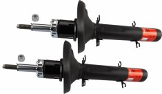 TRW JGM209T TRW TWIN amortizor foto