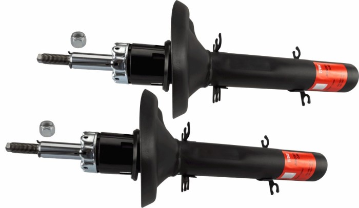 TRW JGM209T TRW TWIN amortizor