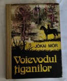 Jokai Mor - Voievodul țiganilor
