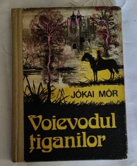 Jokai Mor - Voievodul țiganilor