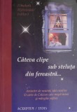 Cateva clipe sub steluta din fereastra... - Elisabeth Mittelstadt - Carte Beletristica