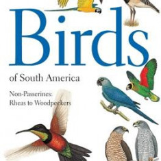 Birds of South America: Non-Passerines: Rheas to Woodpeckers