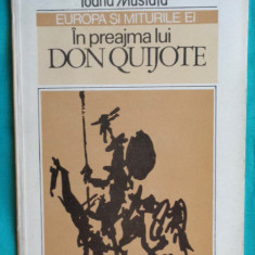 Ioana Mustata – In preajma lui Don Quijote ( prima editie )