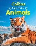 My First Book of Animals | Collins