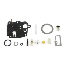 Kit reparatie carburator Briggs Stratton 494623
