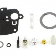 Kit reparatie carburator Briggs Stratton 494623