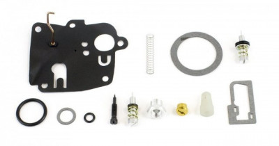 Kit reparatie carburator Briggs Stratton 494623 foto