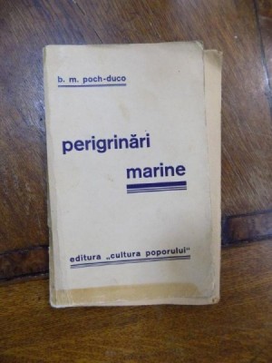 Peregrinari marine foto