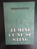 GHEORGHE ANDREICA -LUMINI CE NU SE STING