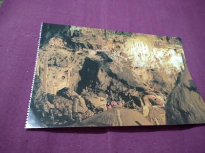 CARTE POSTALA BIHOR-PESTERA URSILOR CHISCAU NECIRCULATA foto