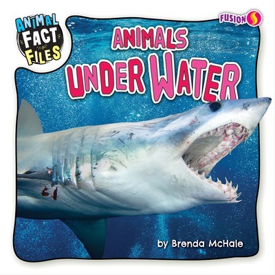 Animals Under Water foto