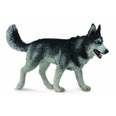 Figurina Caine Husky Siberian L Collecta foto