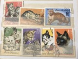 (3) Timbre Serii Romania Fauna pisici