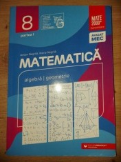 Matematica pentru clasa a 8-a (partea I)- Anton Negrila, Maria Negrila