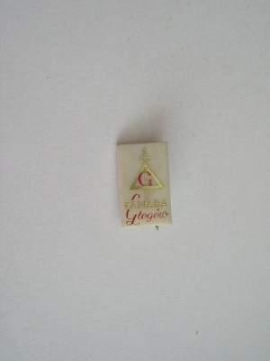 QW9 N4 18 - insigna - spada in triunghi - inscriptia FAMABA GTOGOW foto