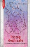 Tristeti deghizate. 12 povestiri in cautarea unei cauze nobile - Ilinca Stroe