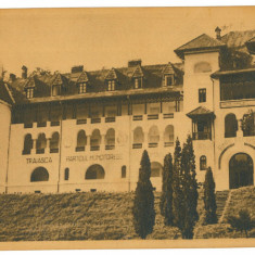 1135 - GOVORA, Valcea, Romania - old postcard - unused