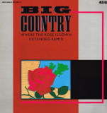 VINIL Big Country &lrm;&ndash; Where The Rose Is Sown 12&quot;, 45 RPM, (EX), Pop