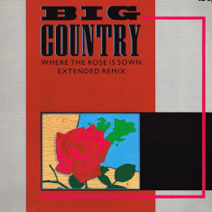 VINIL Big Country ‎– Where The Rose Is Sown 12", 45 RPM, (EX)