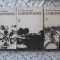 CORDOVANII VOL.1-3-ION LANCRANJAN-223328