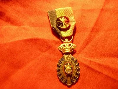 Medalie Belgia - pt Ofiter - metal argintat foto