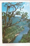 RF79-Carte Postala -Valea Oltului la Cozia, circulata 1969
