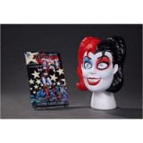 Harley Quinn Book &amp; Mask Set