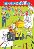 Cumpara ieftin Cartea mea de colorat - Meseriile