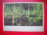 HOPCT 23643 PADURE DE MESTEACAN - I I LEVITAN 1860-1900 -- RUSIA --MUZEE - CP PICTURA --NECIRCULATAMUNTII