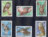 BULGARIA 1992 FAUNA PASARI DE PRADA BUFNITE, Nestampilat