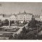 CPIB 22181 - CARTE POSTALA - SATU MARE, PIATA LIBERTATII, RPR
