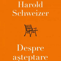 Despre așteptare - Paperback brosat - Harold Schweizer - Curtea Veche