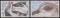 Foto  - 1