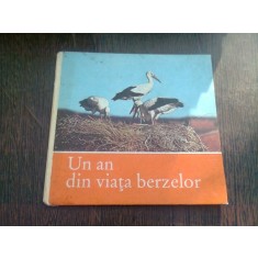 UN AN DIN VIATA BERZELOR - KLAUS SCHONERT