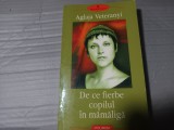 DE CE FIERBE COPILUL IN MĂMĂLIGĂ - AGLAJA VETERANYI, POLIROM, 2003, 200 PAG, STARE BUNĂ, RARĂ