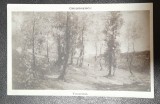 Carte postala, necirculata, reproducere pictura &quot;Toamna&quot; de N. Grigorescu