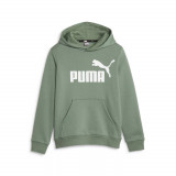 ESS Big Logo Hoodie FL B NOOS, Puma