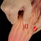 Foto  - 3