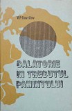 Calatorie in Trecutul Pamantului - V.P. Gavrilov, 1980, Editura Tehnica, Geografie, Carte in Romana