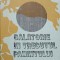 CALATORIE IN TRECUTUL PAMANTULUI-V.P. GAVRILOV-184063