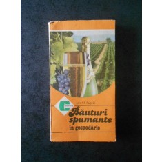 ION M. PUSCA - BAUTURI SPUMANTE IN GOSPODARIE