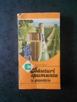 ION M. PUSCA - BAUTURI SPUMANTE IN GOSPODARIE foto