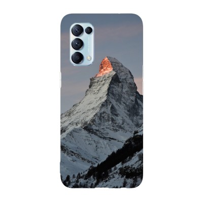 Husa compatibila cu Oppo A74 5G model Matterhorn Peak, Silicon, TPU, Viceversa foto