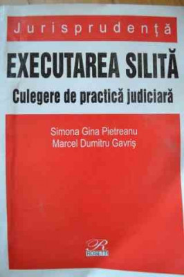 Executarea Silita Celegere De Practica Judiciara - Simona Gina Pietreanu, Marcel Dumitru Gavris ,527177 foto