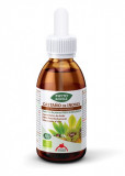 Extract BIO de castane salbatice, 50ml cu picurator