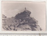 bnk foto - Muntii Apuseni - Varful Muntele Mare - 1957