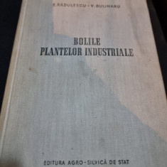 Bolile plantelor industriale - E. Radulescu