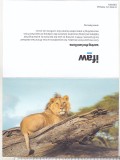 Bnk cp Fauna - Leu - felicitare necirculata, Printata