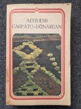 AESTHESIS CARPATO-DUNAREAN