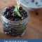 The River Cottage Preserves Handbook